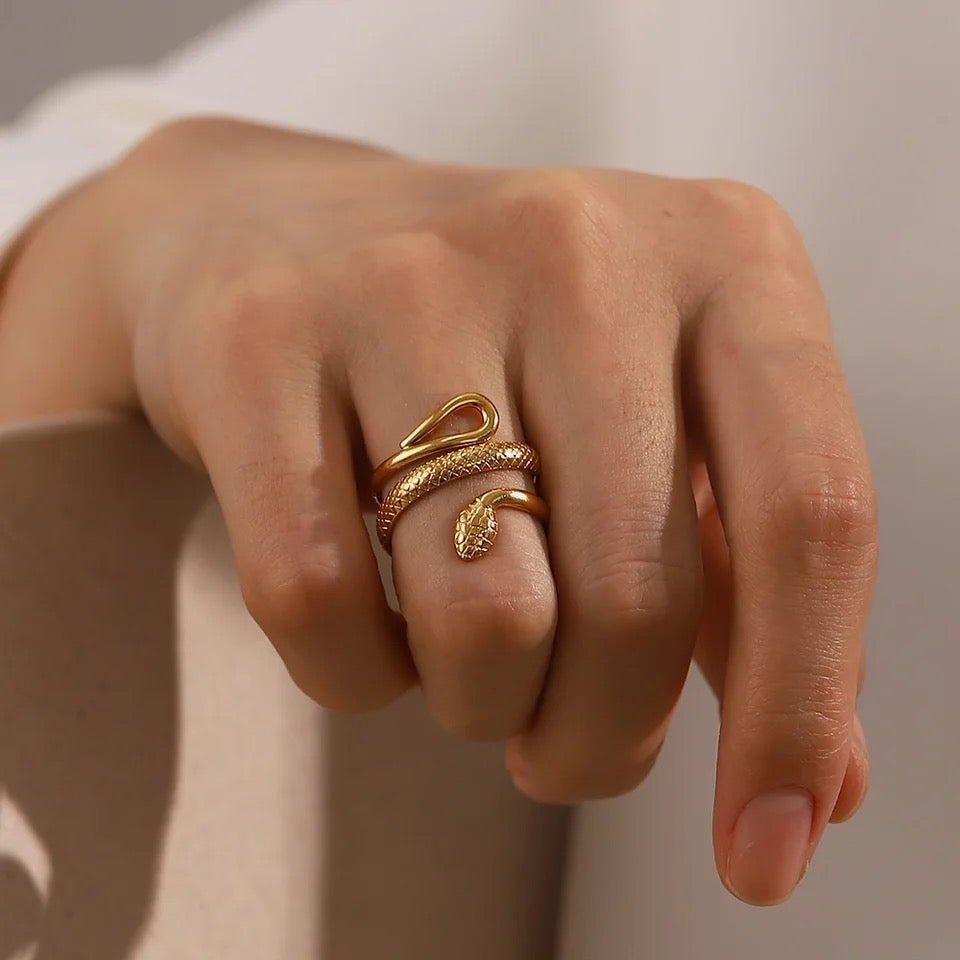 Anillos
